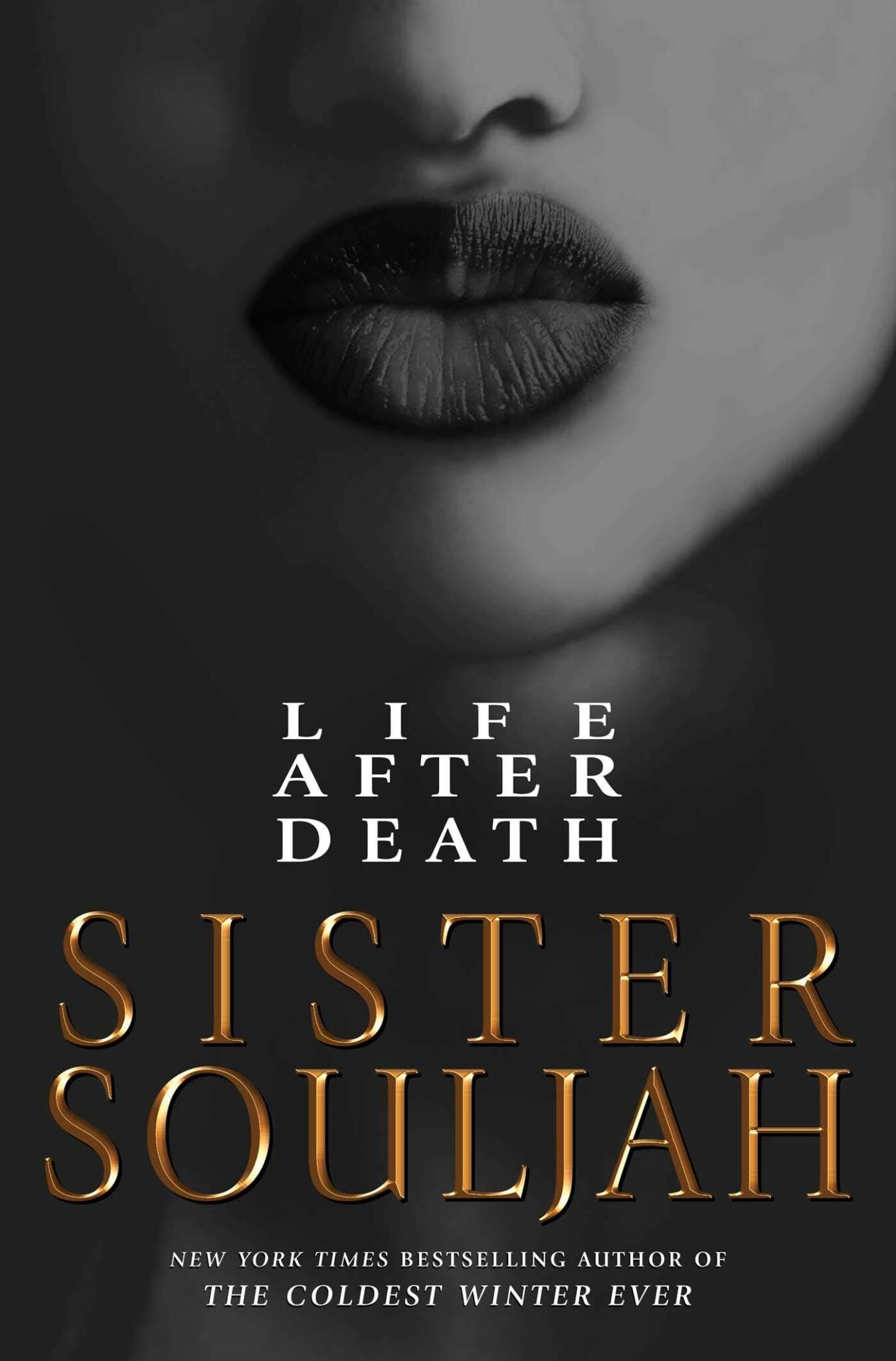 sister souljah books in order 2021