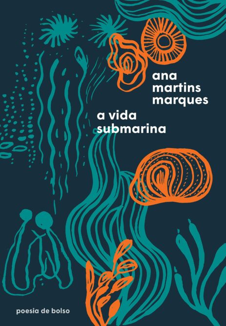 Trecho de 'A vida submarina' por Ana Martins Marques