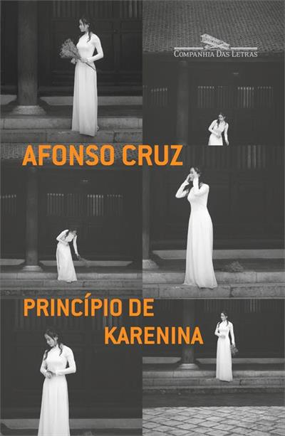 Baixar PDF 'Princípio de Karenina' por Afonso Cruz