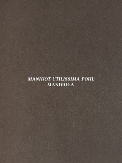 Baixar PDF 'Mandioca: Manihot utilissima Pohl' por Alex Atala